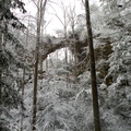 Snow on the Rough Trail